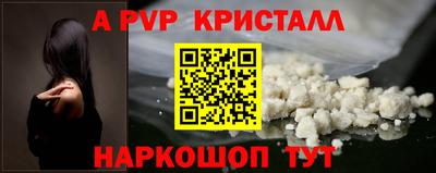 гидра Будённовск