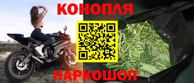 гидра Будённовск
