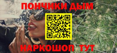 гидра Будённовск