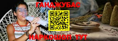 гидра Будённовск