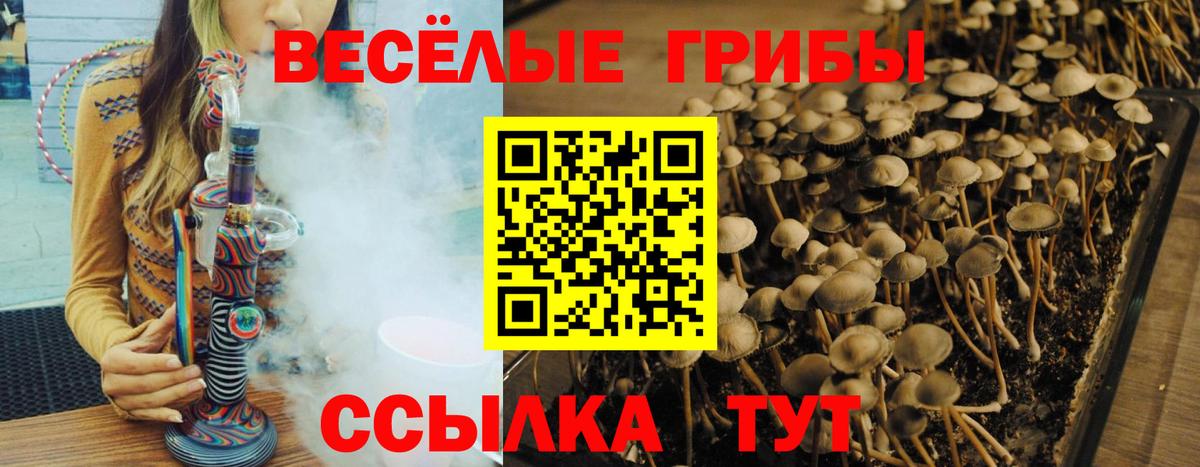 Псилоцибиновые грибы мухоморы  наркошоп  Сочи  Вход с VPN  Псилоцибиновые грибы ЛСД 